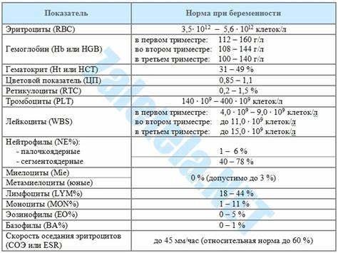 Зачем нужен белок на диете