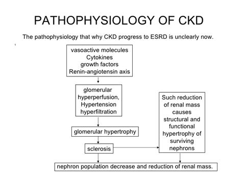 Clinical manifestations, diagnostic assessment, and etiology of heart failure in elderly. Kidney ailment Etiology