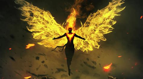 5680x4320 Phoenix On Fire 4k Art 5680x4320 Resolution Wallpaper Hd