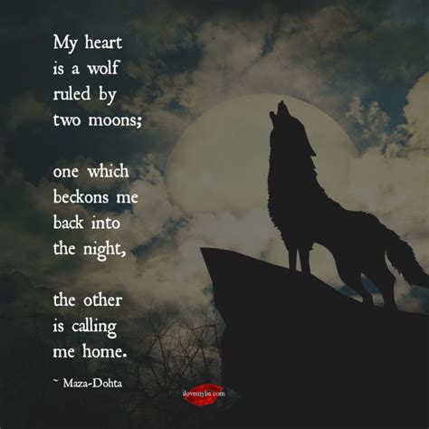 Collection 27 Lone Wolf Quotes 2 And Sayings With Images