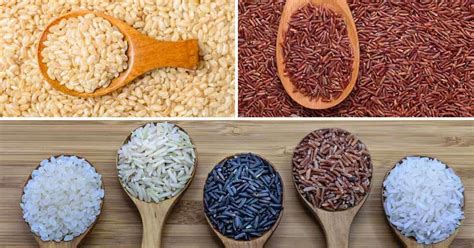 Different Kinds Of Rice And Their Benefits