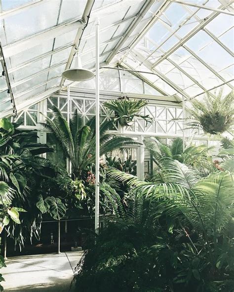 Greenhouses Are My Jam Plants In 2019 Plant Aesthetic Atrium