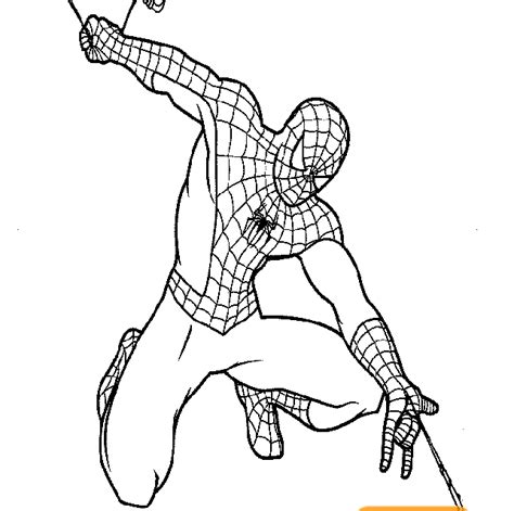 Gambar Sketsa Spiderman Siap Print Warnagambar Gambar Mewarnai Spider