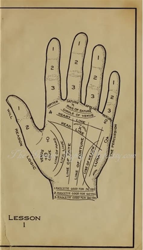 Palmistry Palm Reading Fortune Telling Cheiromancy Etsy