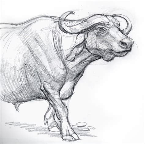 Drawings - Drawing Fan Art (29537204) - Fanpop