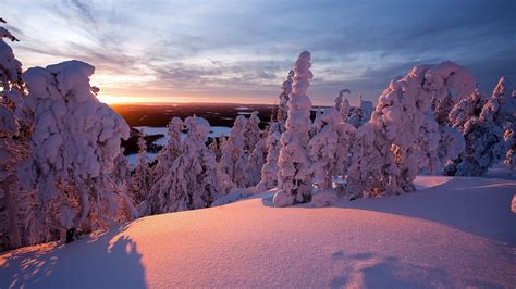Winter Lapland Finland Desktop Wallpaper Winter Scenery