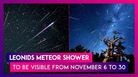 Leonids Meteor Shower To Be Visible From November 6 To 30 All About The Celestial Spectacle 📹