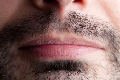 Stubble Around A Male Mouth Stock Photo Image Of Grown Grey 26759838