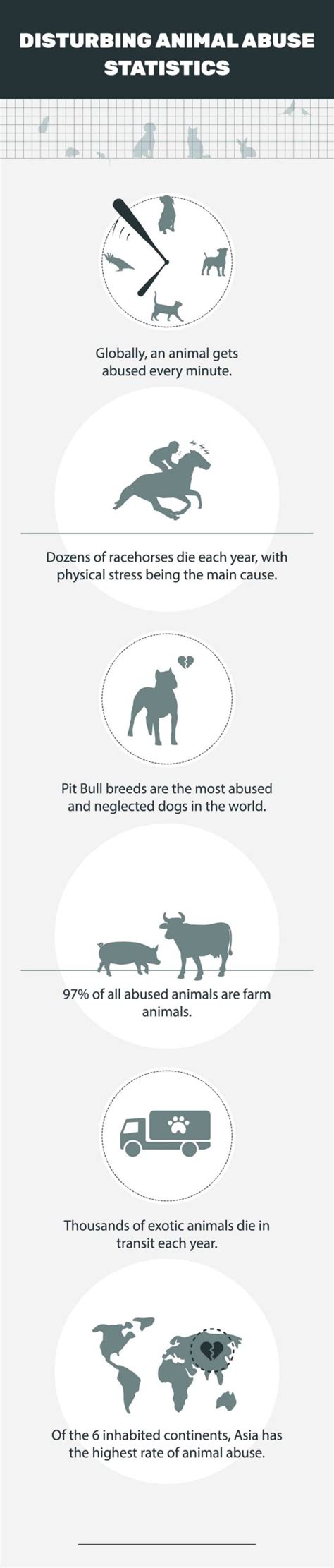 20 Disturbing Animal Abuse Statistics And Facts 2024 Update Pet Keen