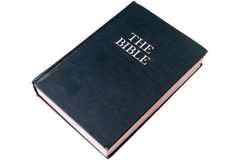 Can Your Catechists Tell THE Story? | Bible, Free bible ...