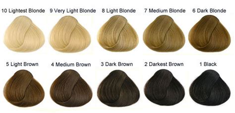 International Colour Charts For Hairdressing Hair And Makeup Artist