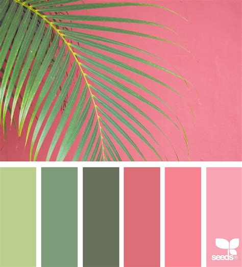 Top 15 Summer Living Room Color Schemes For More Comfort And Fresh