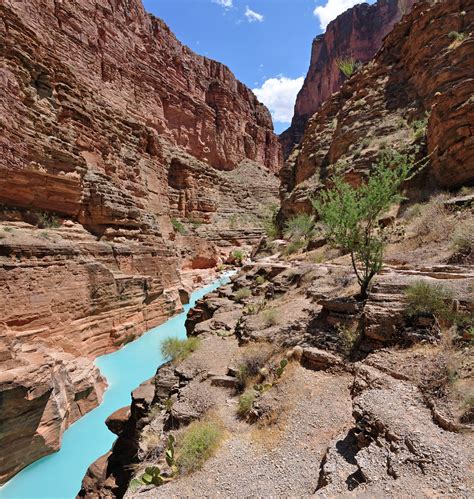 Grand Canyon: Mouth of Havasu Creek 0196 | (4726 x 4983) The… | Flickr