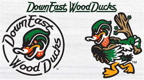 Down East Wood Ducks Reveal Inaugural Roster