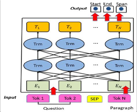 Architecture Of The Bert Question Answering Model Download