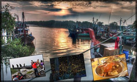 Another highlight is the delicious seafood in the most scenic location. Explore #KualaSelangor, renowned for its best known ...
