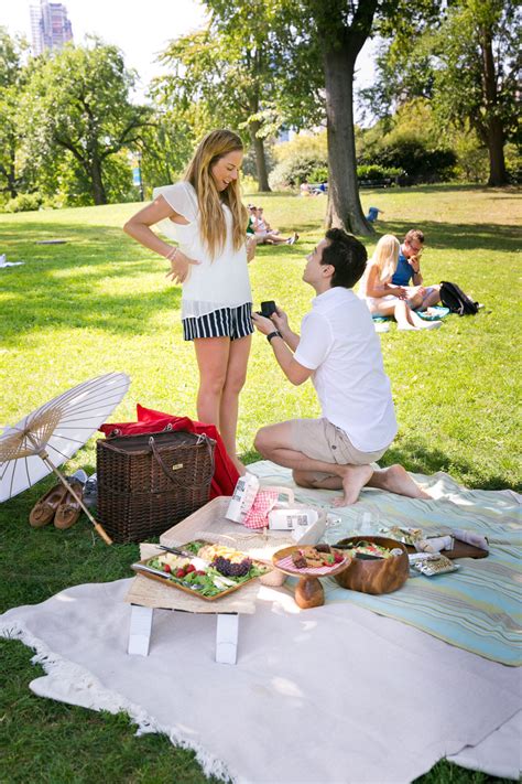 When A Picture Perfect Picnic In The Park Turns Into A Picture Perfect Proposal — Fotovolida