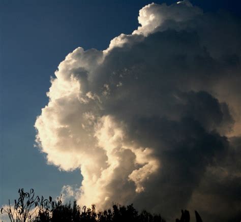 Billowing Cumulus Free Stock Photo Public Domain Pictures