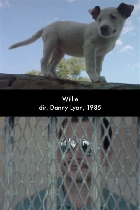 [hd 720p] willie 1985 película ver online gnula
