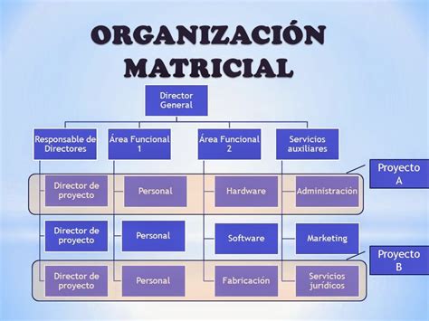Organización Matricial Organización Por Producto Desarrollo