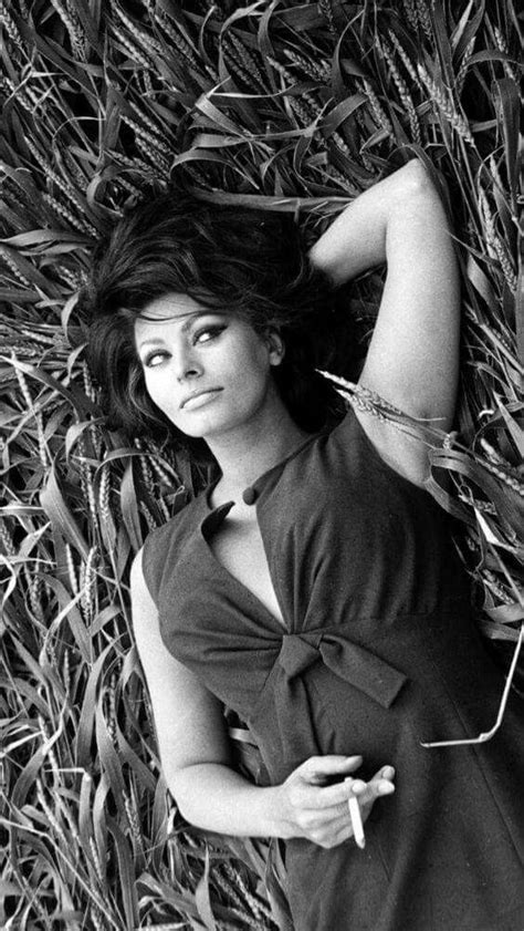 Sophia Loren With Images Sophia Loren Sofia Loren 40964 Hot Sex Picture