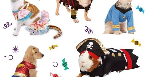 Weve Collected All The Cutest Pet Costumes Read Up Now And Make Your