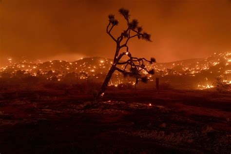 California Fire Map Update As Bobcat Blaze Continues To