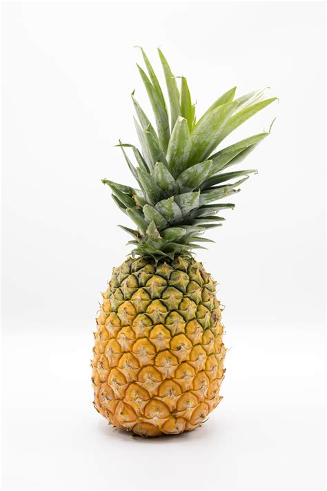Pineapple Fruit With White Background · Free Stock Photo