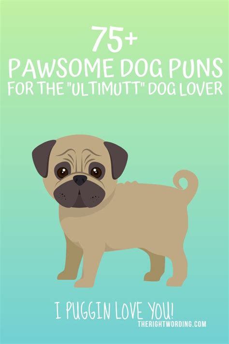 75 Pawsome Dog Puns For The Ultimutt Dog Lover Dog Puns Clever