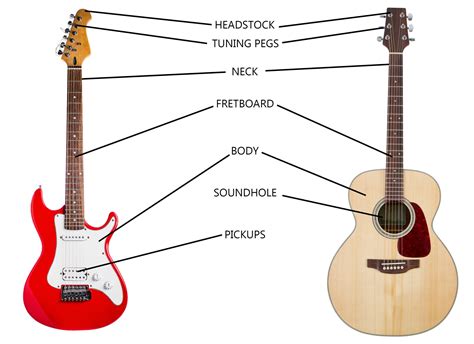 The Anatomy Of A Guitar Understanding The Different Parts