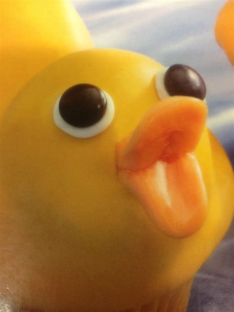 Momma duck dropping in with her 13 ducklings v.redd.it/j0g3zoge2qh61. Rubber Ducky Squeak | Reaction Images | Know Your Meme