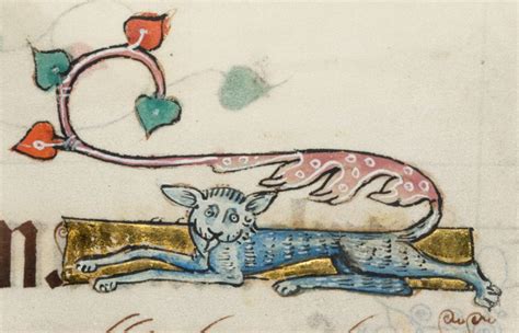 Hilariously Ugly Cat Art In Medieval Paintings The Funniest Blog