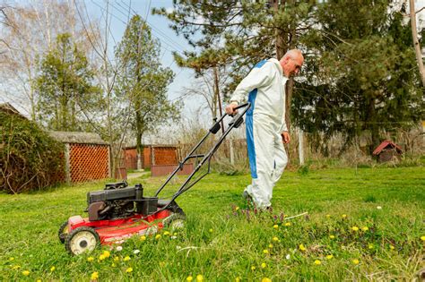 Can You Mow Your Lawn In Reverse Lawn Unbound