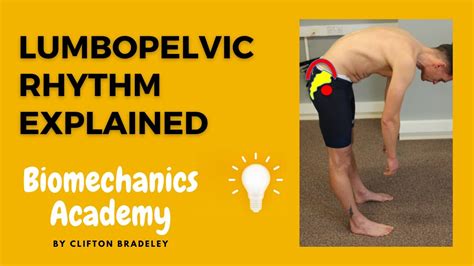 Lumbopelvic Rhythm Explained Finally Youtube