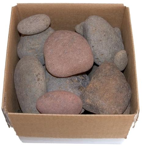 Ben And Bawb S Blog Dumber Than A Box Of Rocks The Complete Idiot S Guide To Idioms