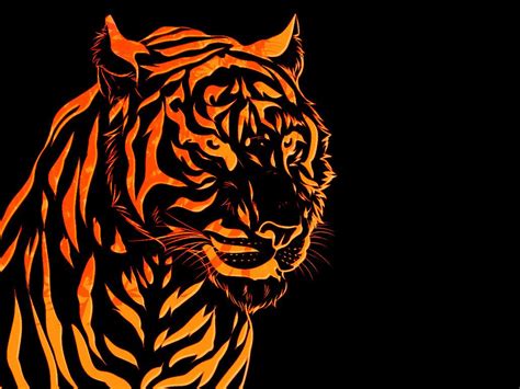 Chinese Zodiac Tiger Wallpapers Top Free Chinese Zodiac Tiger