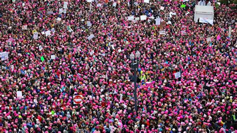 Pussyhat Goes On Display At Vanda Bbc News