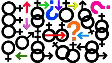 ¿ cuál es tu orientación sexual 🏳️‍🌈 tipos de orientaciones sexuales sixtagesima youtube