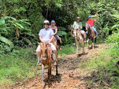 Horseback Riding And Waterfall In Tocori Iguana Tours Costa Rica