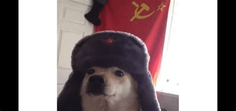 I Know This Is Not Em Related But Heres A Soviet Soldier Doggo To