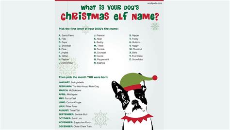 What Is Your Dogs Christmas Elf Name Celebrates