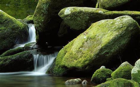 1080p Free Download Moss Rocks The Worlds Most Beautiful Waterfall