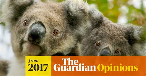 The Threat To Species From Climate Change Should Provoke Shame In Our