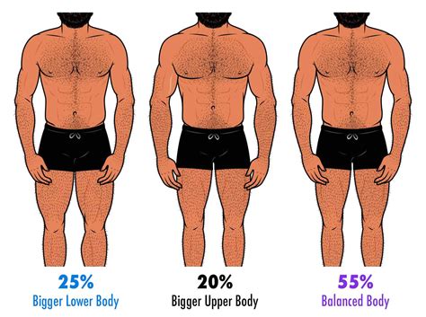 Survey Results What Degree Of Leanness And Muscularity Do Women Find