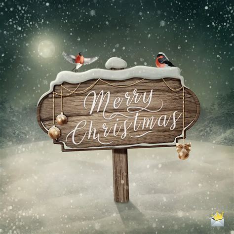 Merry Christmas Wishes T Card Christmas Card Messages Christmas