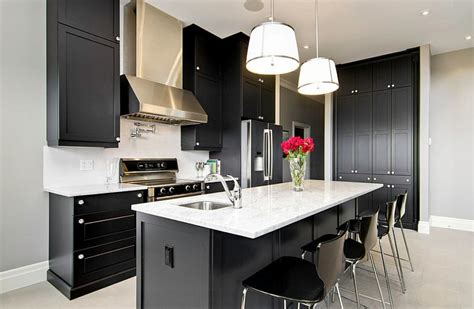 Black And White Kitchens Ideas Photos Inspirations