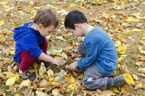Children In Autumn Leaves Stock Photo Image Of Caucasian 45007074