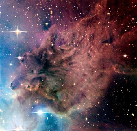 Fox Fur Nebula