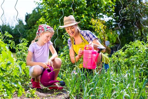 Mother And Daughter Gardening In Garden Stock Image Colourbox