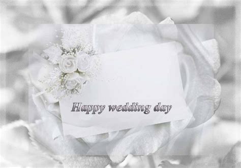 #bungou stray dogs #bsd #atsushi nakajima #atsushi x christina #atsushi x pink prophet #atsutina #atsutina related #self ship. Happy Wedding Day - DesiComments.com